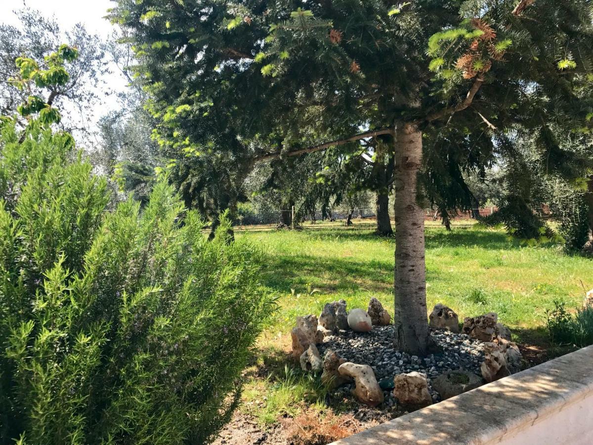 Il Trullo Di Giulietta Bed and Breakfast Impalata Εξωτερικό φωτογραφία
